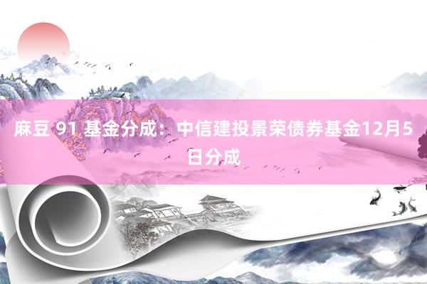 麻豆 91 基金分成：中信建投景荣债券基金12月5日分成