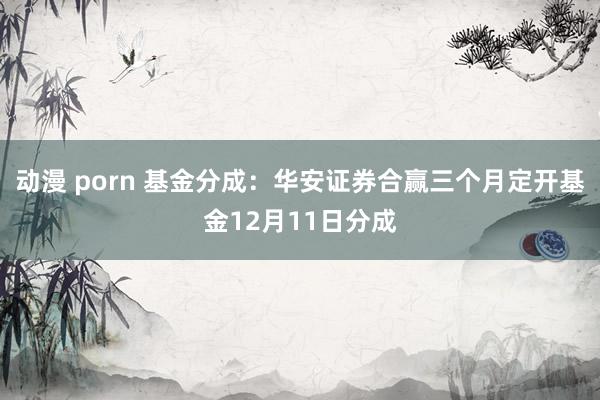 动漫 porn 基金分成：华安证券合赢三个月定开基金12月11日分成