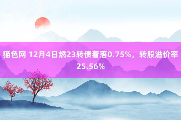 猫色网 12月4日燃23转债着落0.75%，转股溢价率25.56%