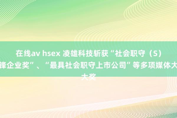 在线av hsex 凌雄科技斩获“社会职守（S）前锋企业奖”、“最具社会职守上市公司”等多项媒体大奖