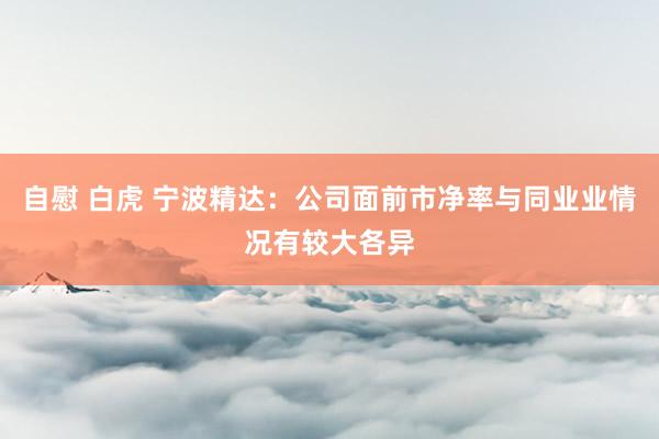 自慰 白虎 宁波精达：公司面前市净率与同业业情况有较大各异