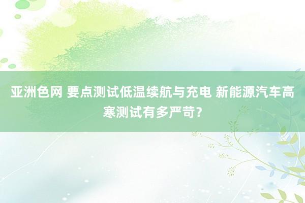 亚洲色网 要点测试低温续航与充电 新能源汽车高寒测试有多严苛？