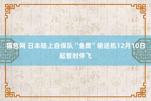 猫色网 日本陆上自保队“鱼鹰”输送机12月10日起暂时停飞