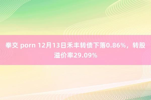 拳交 porn 12月13日禾丰转债下落0.86%，转股溢价率29.09%