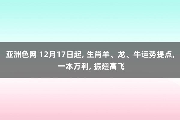 亚洲色网 12月17日起， 生肖羊、龙、牛运势提点， 一本万利， 振翅高飞