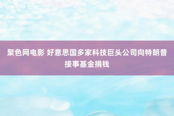 聚色网电影 好意思国多家科技巨头公司向特朗普接事基金捐钱