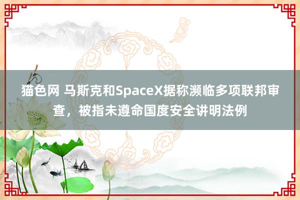 猫色网 马斯克和SpaceX据称濒临多项联邦审查，被指未遵命国度安全讲明法例