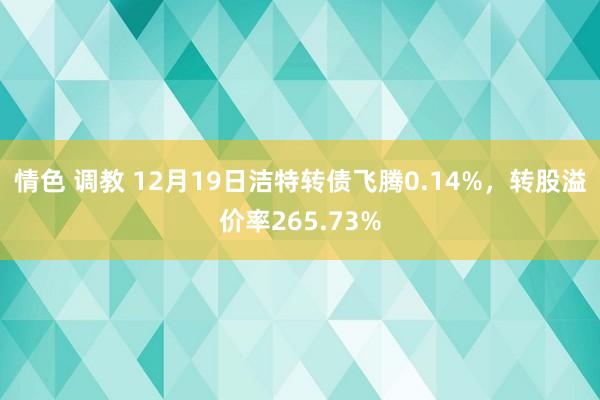 情色 调教 12月19日洁特转债飞腾0.14%，转股溢价率265.73%