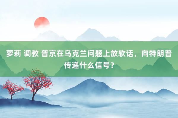 萝莉 调教 普京在乌克兰问题上放软话，向特朗普传递什么信号？