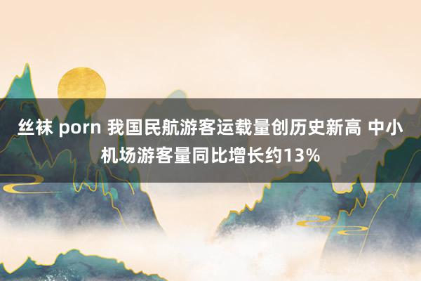 丝袜 porn 我国民航游客运载量创历史新高 中小机场游客量同比增长约13%