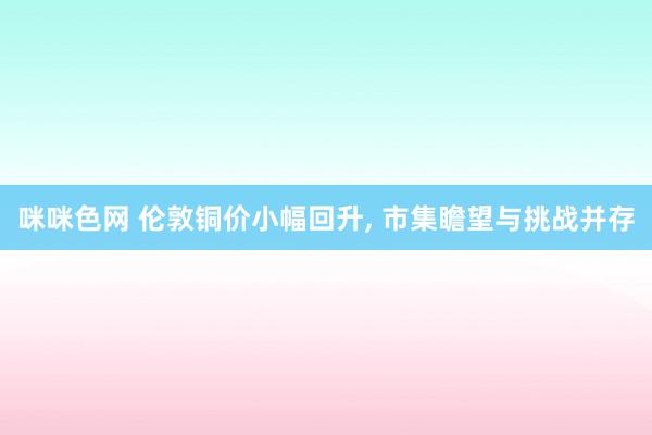 咪咪色网 伦敦铜价小幅回升， 市集瞻望与挑战并存