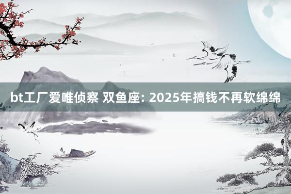 bt工厂爱唯侦察 双鱼座: 2025年搞钱不再软绵绵