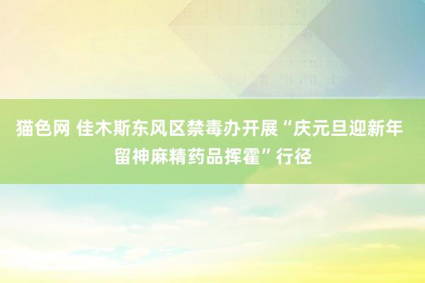 猫色网 佳木斯东风区禁毒办开展“庆元旦迎新年 留神麻精药品挥霍”行径