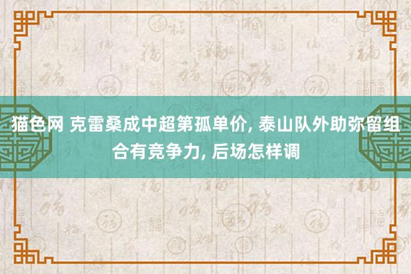 猫色网 克雷桑成中超第孤单价， 泰山队外助弥留组合有竞争力， 后场怎样调