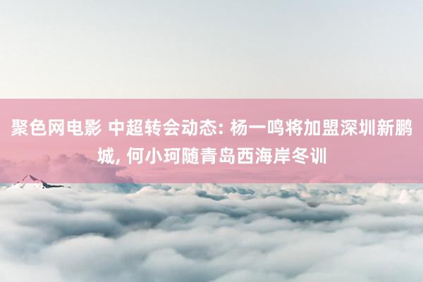 聚色网电影 中超转会动态: 杨一鸣将加盟深圳新鹏城， 何小珂随青岛西海岸冬训