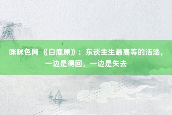 咪咪色网 《白鹿原》：东谈主生最高等的活法，一边是得回，一边是失去