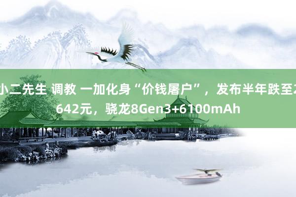 小二先生 调教 一加化身“价钱屠户”，发布半年跌至2642元，骁龙8Gen3+6100mAh