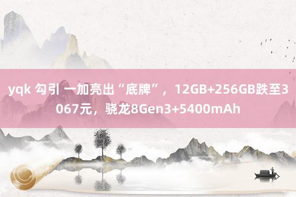 yqk 勾引 一加亮出“底牌”，12GB+256GB跌至3067元，骁龙8Gen3+5400mAh