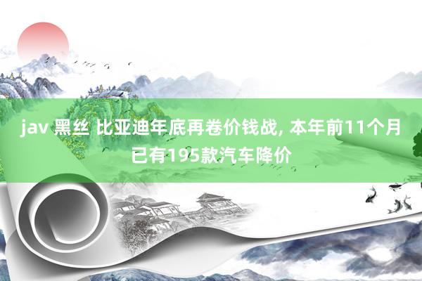 jav 黑丝 比亚迪年底再卷价钱战， 本年前11个月已有195款汽车降价