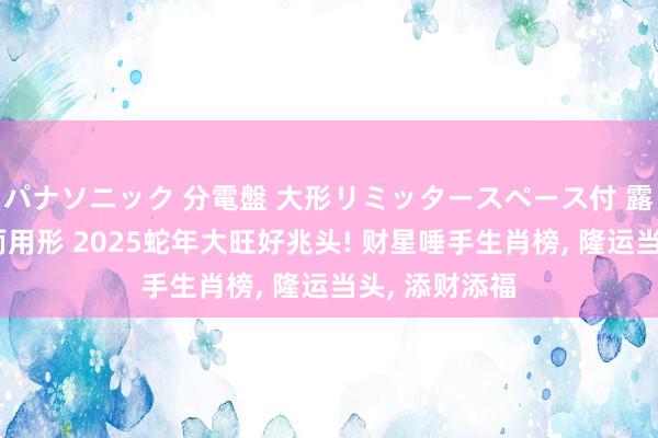 パナソニック 分電盤 大形リミッタースペース付 露出・半埋込両用形 2025蛇年大旺好兆头! 财星唾手生肖榜, 隆运当头, 添财添福