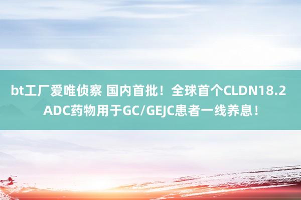 bt工厂爱唯侦察 国内首批！全球首个CLDN18.2 ADC药物用于GC/GEJC患者一线养息！