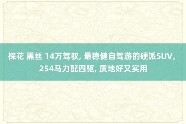 探花 黑丝 14万驾驭, 最稳健自驾游的硬派SUV, 254马力配四驱, 质地好又实用