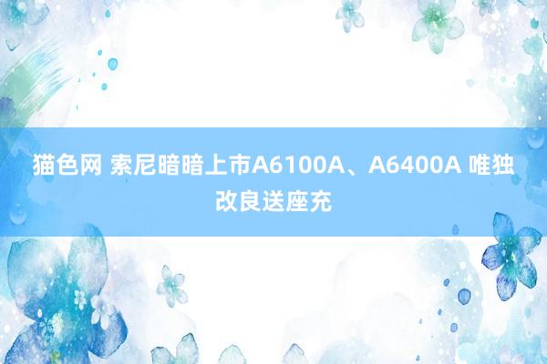 猫色网 索尼暗暗上市A6100A、A6400A 唯独改良送座充