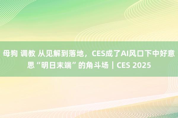 母狗 调教 从见解到落地，CES成了AI风口下中好意思“明日末端”的角斗场｜CES 2025