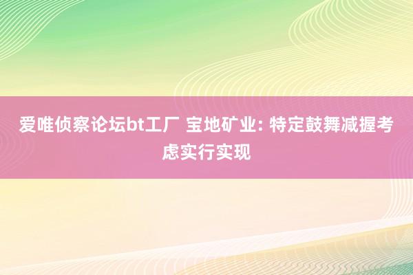 爱唯侦察论坛bt工厂 宝地矿业: 特定鼓舞减握考虑实行实现