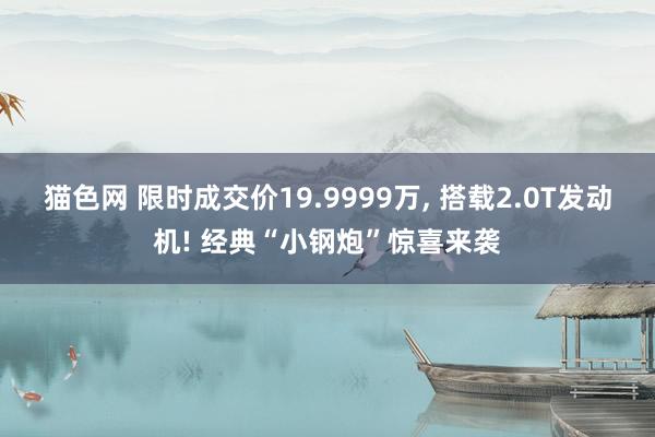 猫色网 限时成交价19.9999万, 搭载2.0T发动机! 经典“小钢炮”惊喜来袭