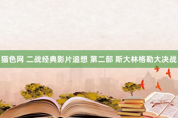 猫色网 二战经典影片追想 第二部 斯大林格勒大决战